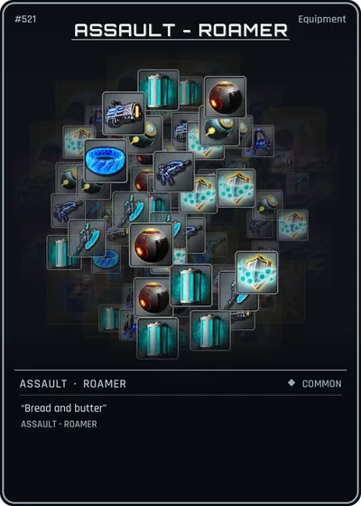 Assault-Roamer