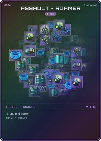 Assault-Roamer